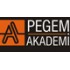 Pegem Akademi Yayınları