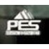 Pes Yayınları